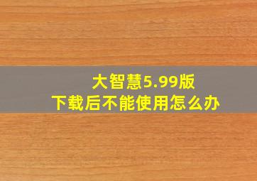 大智慧5.99版 下载后不能使用怎么办